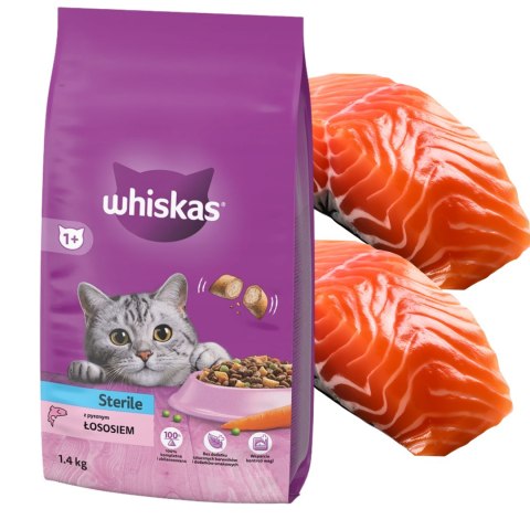 Whiskas Sterile Łosoś 1,4kg Sucha Karma dla Kota po Sterylizacji