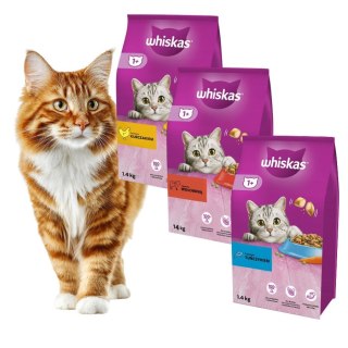 Whiskas Zestaw Karm dla Kota 3x1,4kg 3 Smaki Adult + Sterile