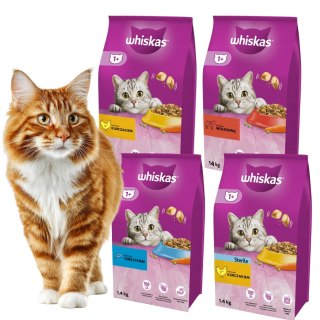 Whiskas Zestaw Karm dla Kota 4x1,4kg 4 Smaki Adult + Sterile