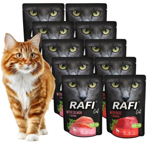 ZESTAW RAFI CAT 12x300 g - MIX SMAKÓW | ŁOSOŚ + WOŁOWINA | ulubione smaki
