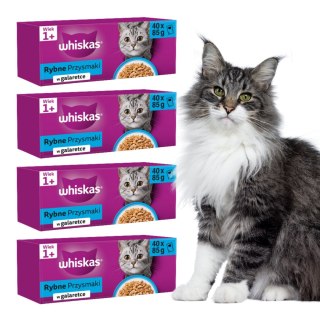 ZESTAW Whiskas FISH RYBNE PRZYSMAKI w galaretce 160X85G