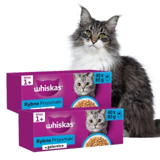 ZESTAW Whiskas FISH RYBNE PRZYSMAKI w galaretce 80X85G