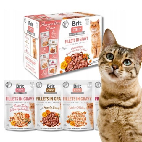 Brit Care CAT FG Flavour Box 12X85g saszetki dla kota w sosie