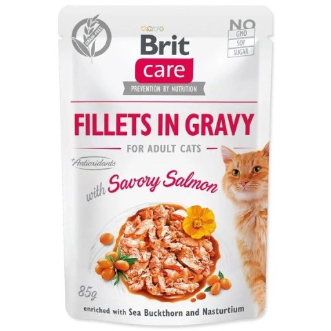 Brit Care CAT FG Flavour Box 12X85g saszetki dla kota w sosie