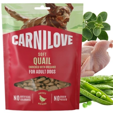 CARNILOVE DOG SOFT SNACK QUAIL 200g