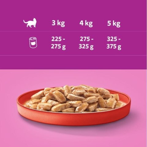Karma dla kota Whiskas wołowina w sosie 10x400g puszka