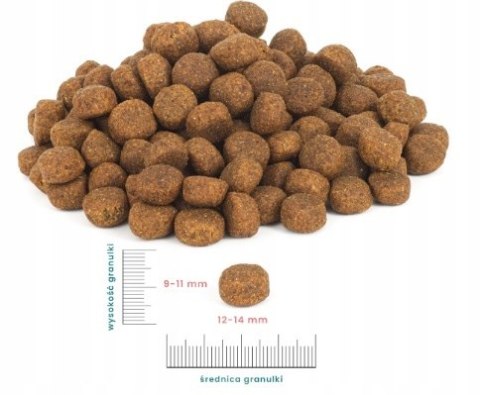 NA WAGĘ PERRO Bezzbożowa Cielęcina z Batatami Średnie Duże Rasy 1 kg dla