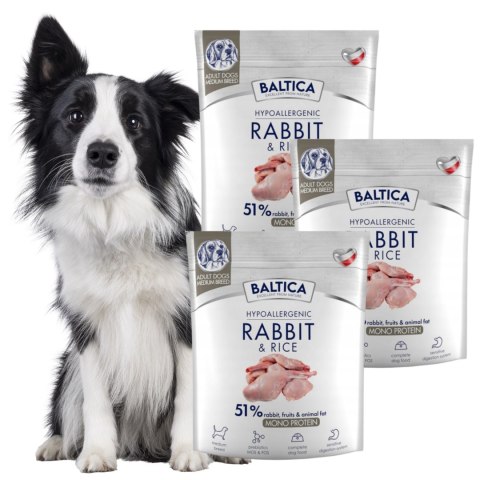 PAKIET Baltica Nutraceutic RABBIT&RICE KRÓLIK 3X1 kg