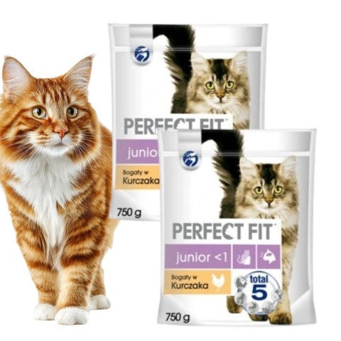 PAKIET DLA KOCIAKA PERFECT FIT (Junior