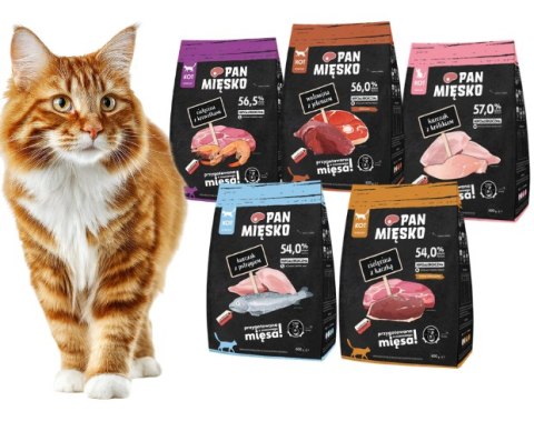 PAKIET PRÓBNY PAN MIĘSKO MIX SMAKÓW 2KG (5X400G) DLA KOTA WYBREDNEGO