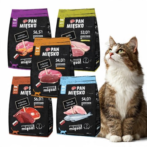 PAN MIĘSKO PAKIET PRÓBNY 5X400G SUCHA KARMA DLA KOTA Z KREWETKĄ MIX SMAKÓW