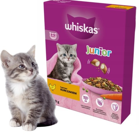 WHISKAS Junior z kurczakiem - sucha karma dla kota - 300 g