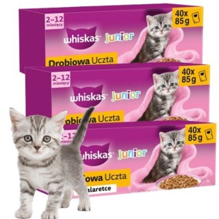 Whiskas Kitten Drobiowa Uczta w Galaretce 120x85g dla Kociąt