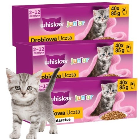 Whiskas Kitten Drobiowa Uczta w Galaretce 120x85g dla Kociąt