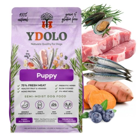 YDOLO Healthy Pure Puppy - półwilgotna karma dla szczeniąt (2,5kg)
