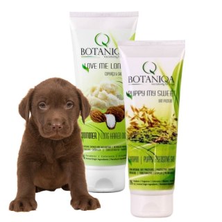 ZESTAW Botaniqa Puppy My Sweet 250ml + odżywka Love me Long