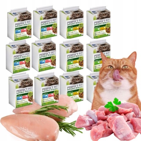 ZESTAW Perfect Fit Natural Vitality MIX SMAKÓW INDYK RYBA KURCZAK 72x50g