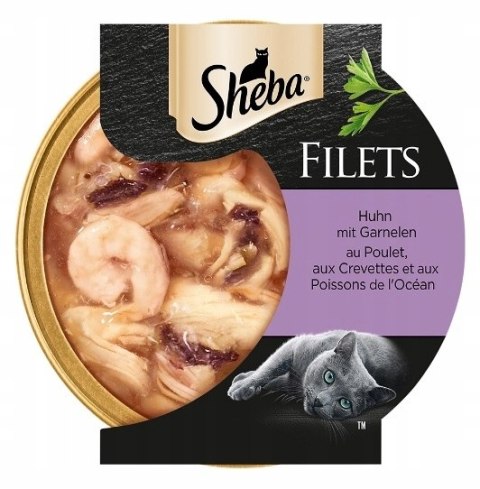 ZESTAW SHEBA TACKA KREWETKA KURCZAK W SOSIE 12x60G