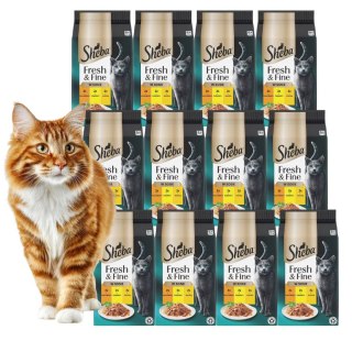 Zestaw Sheba mini Fresh & Fine Saszetki 72x50g KURCZAK INDYK KACZKA