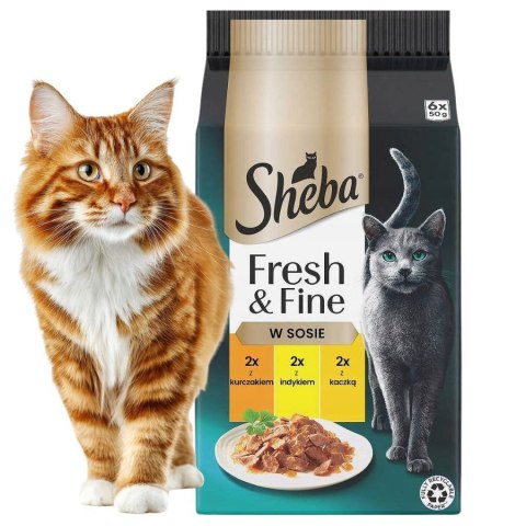 Zestaw Sheba mini Fresh & Fine Saszetki 72x50g KURCZAK INDYK KACZKA