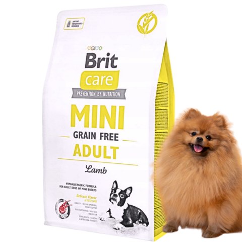 BRIT CARE DOG MINI GRAIN-FREE ADULT LAMB jagnięcina 2kg