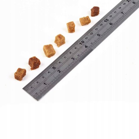 Fish4Dogs Training Salmon Bites NAJLEPSZE SMACZKI 80g