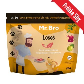 Próbka Mr.Bro Łosoś Sucha Karma Dla Psów Dorosłych 50g