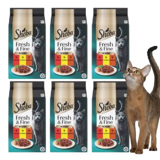 SHEBA MINI Dania mięsne w sosie 6x50g wołowina kurczak jagnięcina