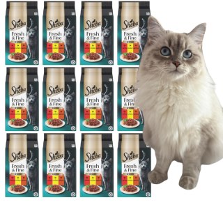 ZESTA Sheba Fresh&Fine wołowina kurczak jagnięcina w sosie 72x 50g