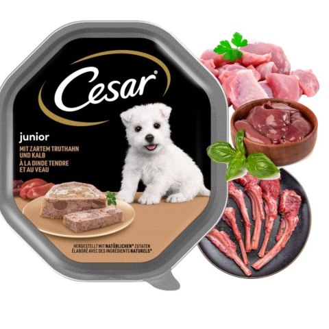 ZESTAW Cesar Junior Pasztet z cielęciną i indykiem dla psa 12X150 g