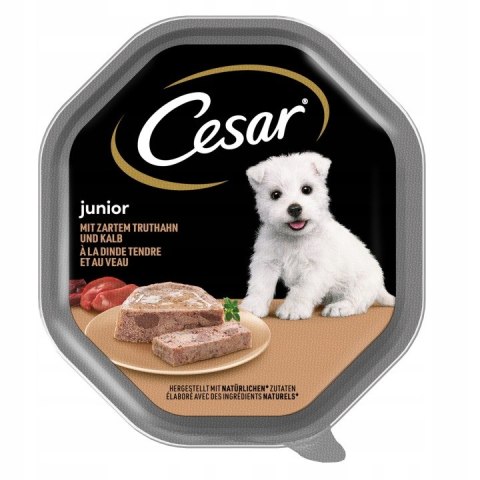 ZESTAW Cesar Junior Pasztet z cielęciną i indykiem dla psa 24X150 g