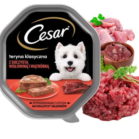 ZESTAW Cesar mokra karma dla psa wołowina 12X150 g