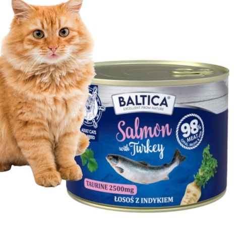 BALTICA ZESTAW MOKRA KARMA DLA KOTA WYBREDNEGO RYBKA 24X200