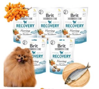 BRIT FUNCTIONAL 5X150 RECOVERY