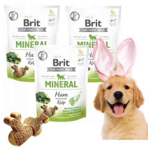 Brit Care Functional Snack Puppy Mineral, 150 g