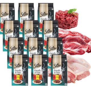 SHEBA MINI Dania mięsne w sosie 12x6x50g wołowina kurczak jagnięcina