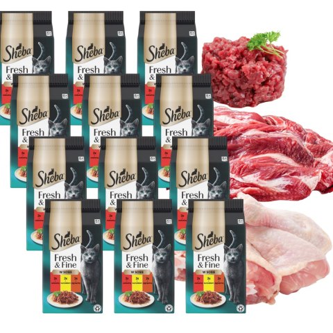 SHEBA MINI Dania mięsne w sosie 12x6x50g wołowina kurczak jagnięcina