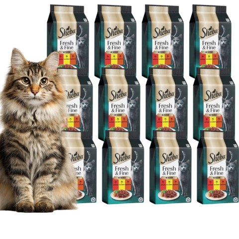SHEBA MINI Dania mięsne w sosie 12x6x50g wołowina kurczak jagnięcina