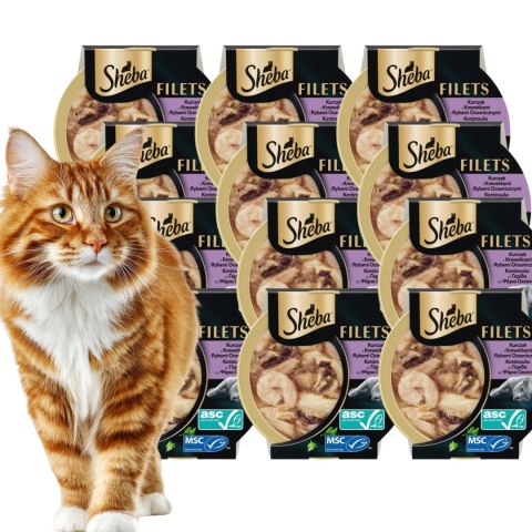SHEBA TACKA KREWETKA KURCZAK W SOSIE 16x60G