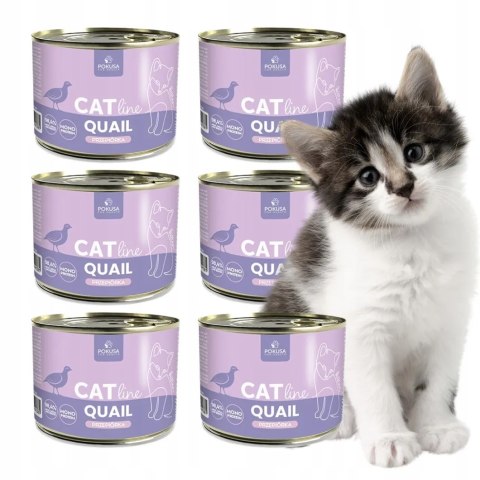 ZESTAW 6X200 POKUSA CatLine karma mokra Quail / Przepiórka KITTEN KOCIAK