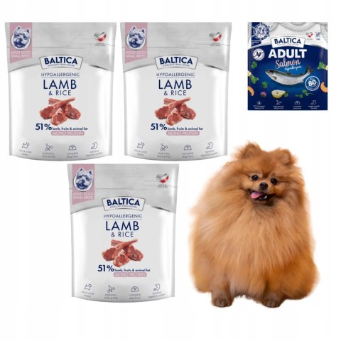ZESTAW BALTICA ADULT Lamb & rice / Jagnięcina z ryżem S 3X1KG MAŁE RASY