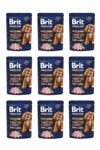 ZESTAW BRIT PREMIUM BY NATURE POUCH GRAVY FILLETS JR TURKEY&CARROTS 9X85