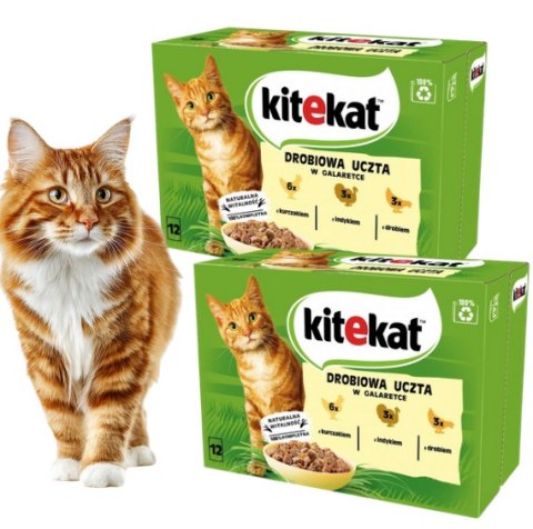ZESTAW Kitekat Drobiowa Uczta 24x85g