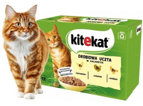 ZESTAW Kitekat Drobiowa Uczta 24x85g