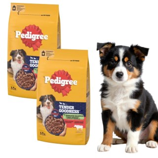 ZESTAW PEDIGREE TENDER GOODNESS 2X1,7kg 100% mięsistych kawałków