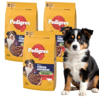ZESTAW PEDIGREE TENDER GOODNESS 3X1,7kg 100% mięsistych kawałków