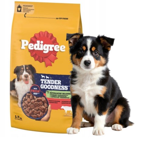 ZESTAW PEDIGREE TENDER GOODNESS 3X1,7kg 100% mięsistych kawałków
