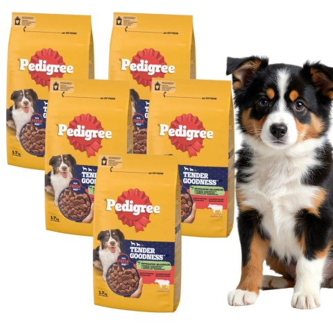 ZESTAW PEDIGREE TENDER GOODNESS 5X1,7kg 100% mięsistych kawałków