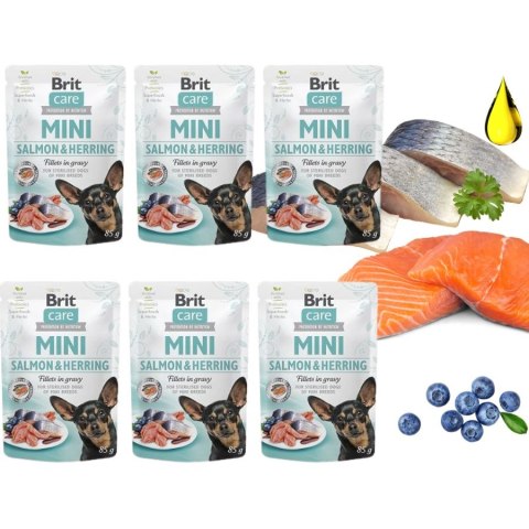 Zestaw Brit Care Mini Pouch Herring 6x85g