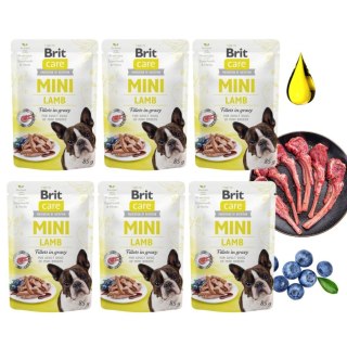 Zestaw Brit Care Mini Pouch Lamb 6x85g